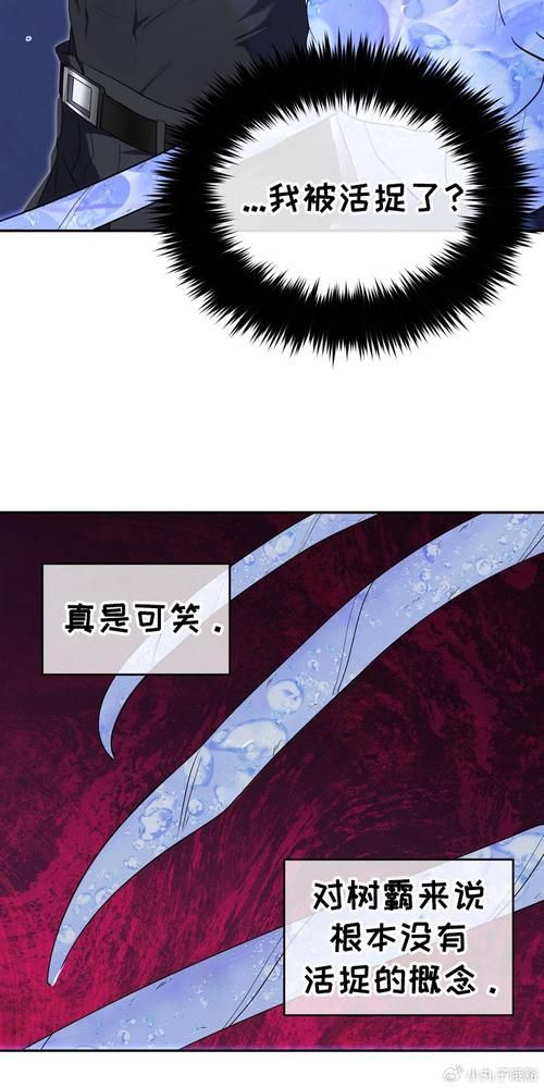 领域入侵者最新下载地址：超详细安装教程分享