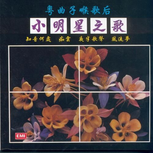 风流公子歌曲下载地址，多种音质版本任你选择