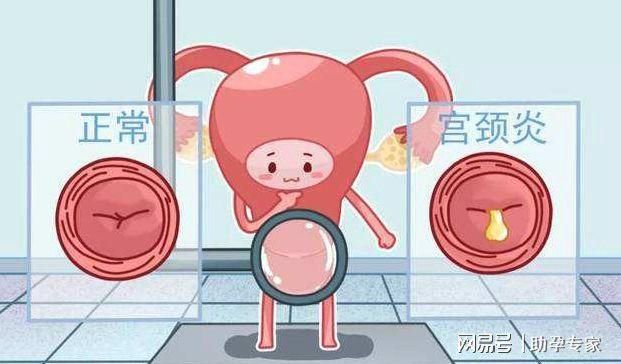 高人气妇科医生绅士游戏盘点：剧情精彩画面精美