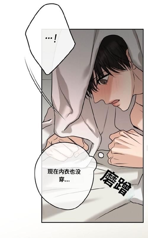 高速下载欲望理论第三季汉化版：免广告，无弹窗，给你最佳观影体验！
