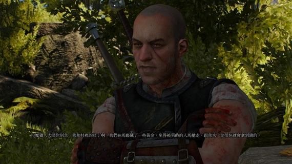 魔改版巫师3狂猎杨过游戏：超强推荐，不容错过！
