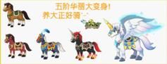 魔法天使精灵心资源获取及利用攻略：快速升级指南