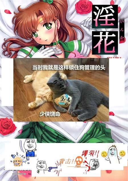 魔法少女蕾万蒂娅直播频道绅士游戏：超详细图文攻略