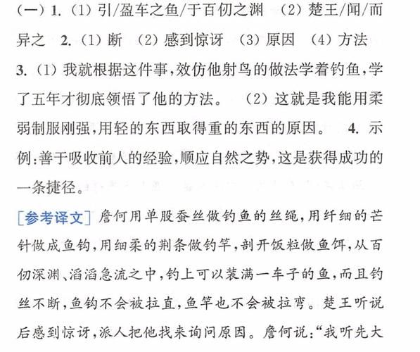鱼筱游戏攻略：快速升级进阶秘籍分享