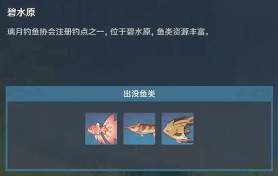 鱼筱软件最新版本是多少？老版本下载资源汇总