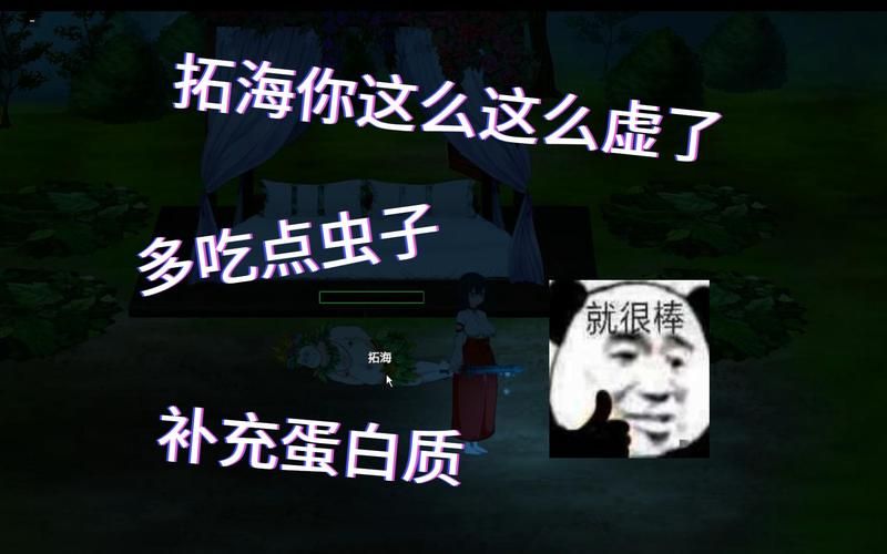 黄毛漂流记官方网站：全新DLC上线，体验精彩岛屿生活